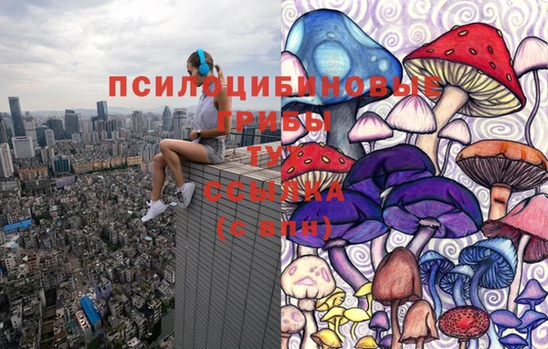 тгк Абаза
