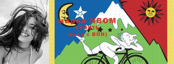 тгк Абаза
