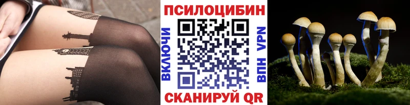 Псилоцибиновые грибы GOLDEN TEACHER  Среднеколымск 