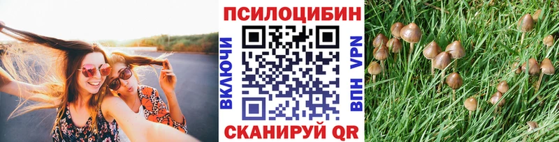 Галлюциногенные грибы Magic Shrooms Среднеколымск